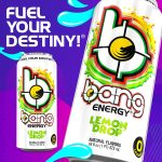 Bang Radical Skadattle Energy Drink, 0 Calories, Sugar Free with Super Creatine, 16 Fl Oz (Pack of 12) - Image 4